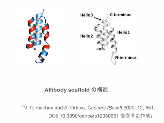 Affibodyとは