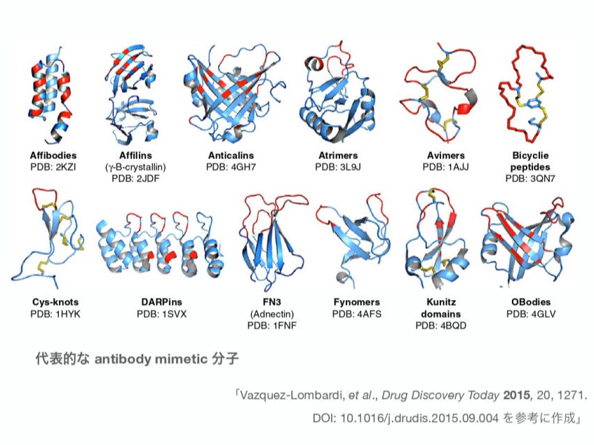 Antibody mimeticとは