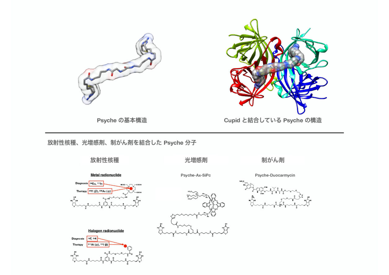 Psycheとは